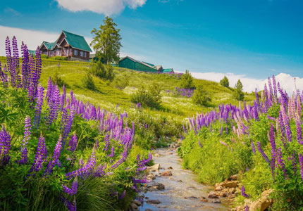 6 Days Jammu Srinagar Gulmarg Pahalgam Amritsar Tour