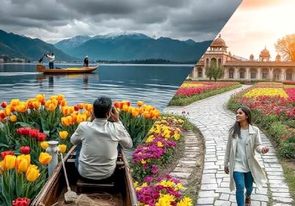 Kashmir