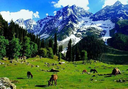 9 Days Jammu Srinagar Gulmarg Sonmarg Pahalgam Tour