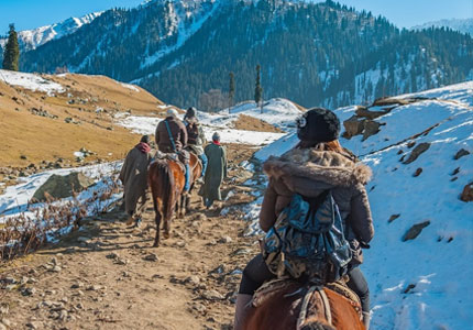 8 Days Chandigarh Amritsar Jammu Srinagar Tour