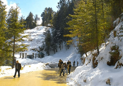 Chandigarh Shimla Manali 5 Days Tour